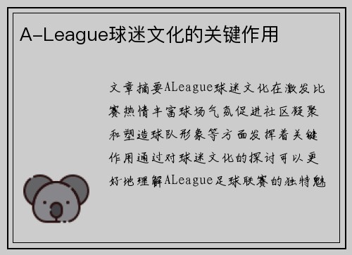 A-League球迷文化的关键作用