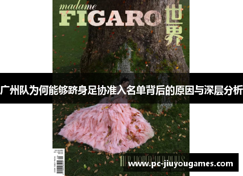 广州队为何能够跻身足协准入名单背后的原因与深层分析