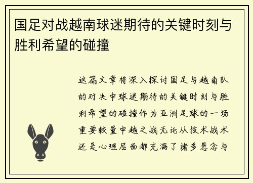 国足对战越南球迷期待的关键时刻与胜利希望的碰撞